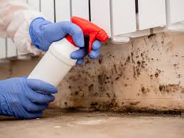 Biohazard Mold Removal in Gretna, VA